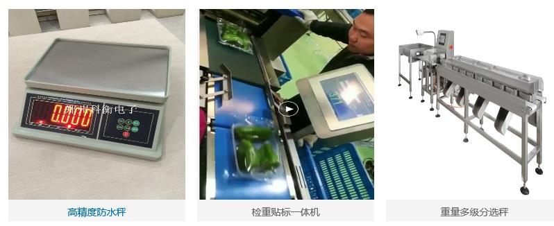 鄭州科衡電子衡器有限公司產品圖片